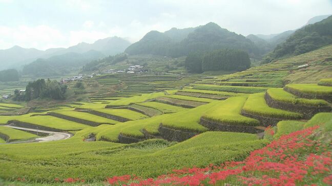 窯業集落と棚田「波佐見中尾皿山と鬼木棚田」国の重要文化的景観へ答申|TBS NEWS DIG