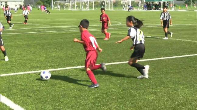 カスケホーム杯サッカー大会　5年生以下の少年少女による8人制　約150人がピッチで熱い戦い【岡山】|TBS NEWS DIG