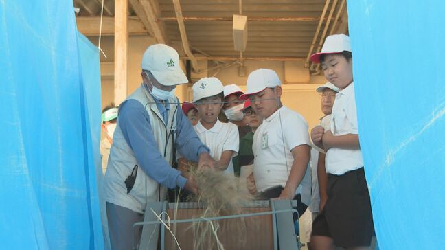 昔ながらの道具で小学生が稲こき体験「教えをもらって上手にできた！」地域の人から米作り学ぶ|TBS NEWS DIG
