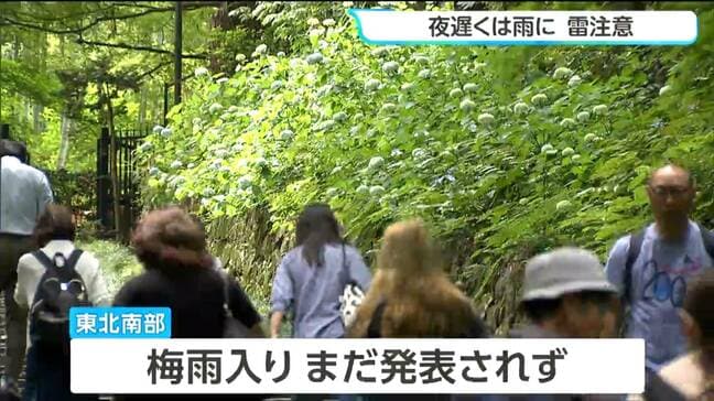 6月18日の宮城県内　夜遅くは各地で雨になる・梅雨入りは発表されず|TBS NEWS DIG