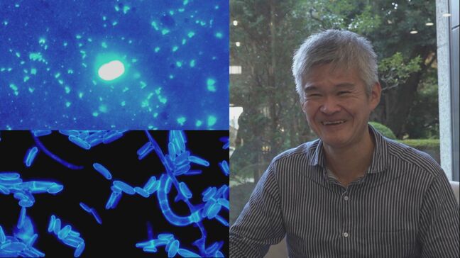 “鼻くそ”ができるメカニズムが雲発生のナゾを解く!? 近畿大学・牧輝弥教授が唱える「雲の源はカビ」説|TBS NEWS DIG