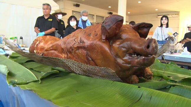 豚の丸焼きを食べて豚とハワイのウチナーンチュに感謝！「海から豚がやってきた記念日」|TBS NEWS DIG