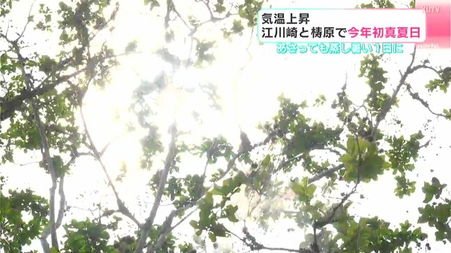 気温上昇！高知県四万十市江川崎と梼原で30℃を超え2025年初の真夏日　22日も蒸し暑い1日に|TBS NEWS DIG