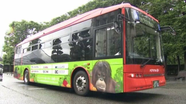 愛媛県立とべ動物園のオランウータン「ジェニファー&ハヤト」がバスに!27日からラッピングバス運行、広告料の一部は園の支援へ|TBS NEWS DIG