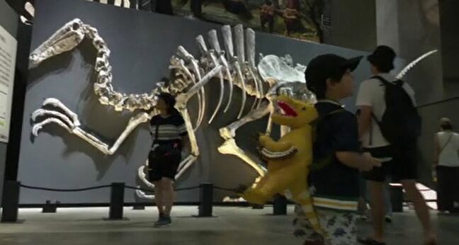 国内初公開！全長14mの巨大肉食恐竜「スピノサウルス」の復元全身骨格 福井県恐竜博物館で特別展|TBS NEWS DIG