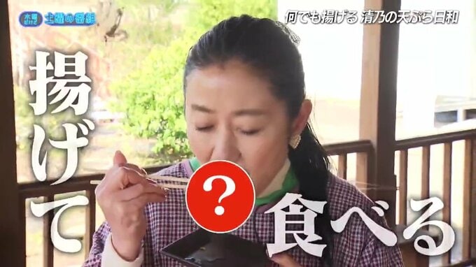 天ぷら日和になんでも揚げたら…美味しい物に出会えるか【水曜だけど土曜の番組】　|　熊本のニュース｜RKK NEWS｜RKK熊本放送