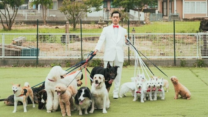 【 いぬ 】ムーディ勝山 “コーラス隊” の犬たちと悠々闊歩　ドッグランで犬に囲まれ大人気　フォロワー感嘆「犬は人を見分ける」|TBS NEWS DIG