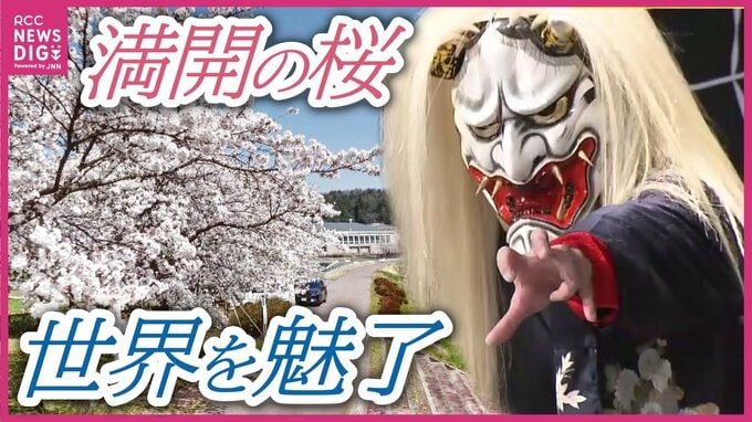 満開の桜並木と伝統の神楽を未来へつなぐ　神楽は世界を魅了　華やかな広島県北広島町の春　|　RCC NEWS | 広島ニュース | RCC中国放送