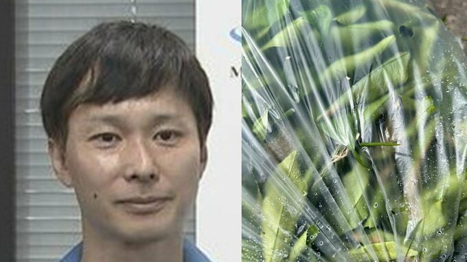 【ごみ清掃芸人】「棘のある草木はわかりやすいようにしていただけると助かります。」【マシンガンズ滝沢】|TBS NEWS DIG