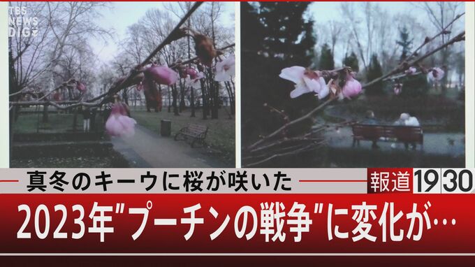 真冬のキーウに桜が咲いた2023年“プーチンの戦争”に変化が・・・【報道1930】|TBS NEWS DIG