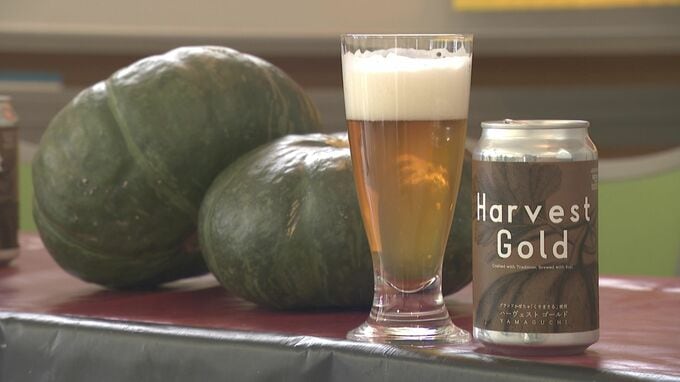 【カボチャを使ったビール】生産者「ビールになるとは夢にも思わなかった」優しい甘さとまろやかな味わい　19日～販売開始|TBS NEWS DIG