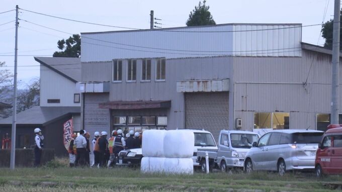 親子グマ？3頭が畳店の作業小屋に立てこもる　膠着状態続く　秋田・美郷町|TBS NEWS DIG