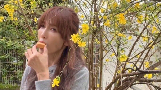 【工藤静香】お気に入りのパイナップルケーキを紹介「食べるとなんだか幸せな気持ちになります」|TBS NEWS DIG