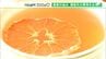 「捨てずに違うものに生かせないか」規格外のミカンがドライフルーツティーに　毎年60㎏廃棄…もったいないから生まれた農家の知恵【SDGs】　|　静岡のニュース | SBSNEWS | 静岡放送