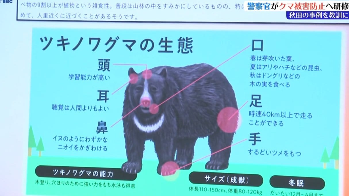 img_0b5068ddf4a364d76c425df01f