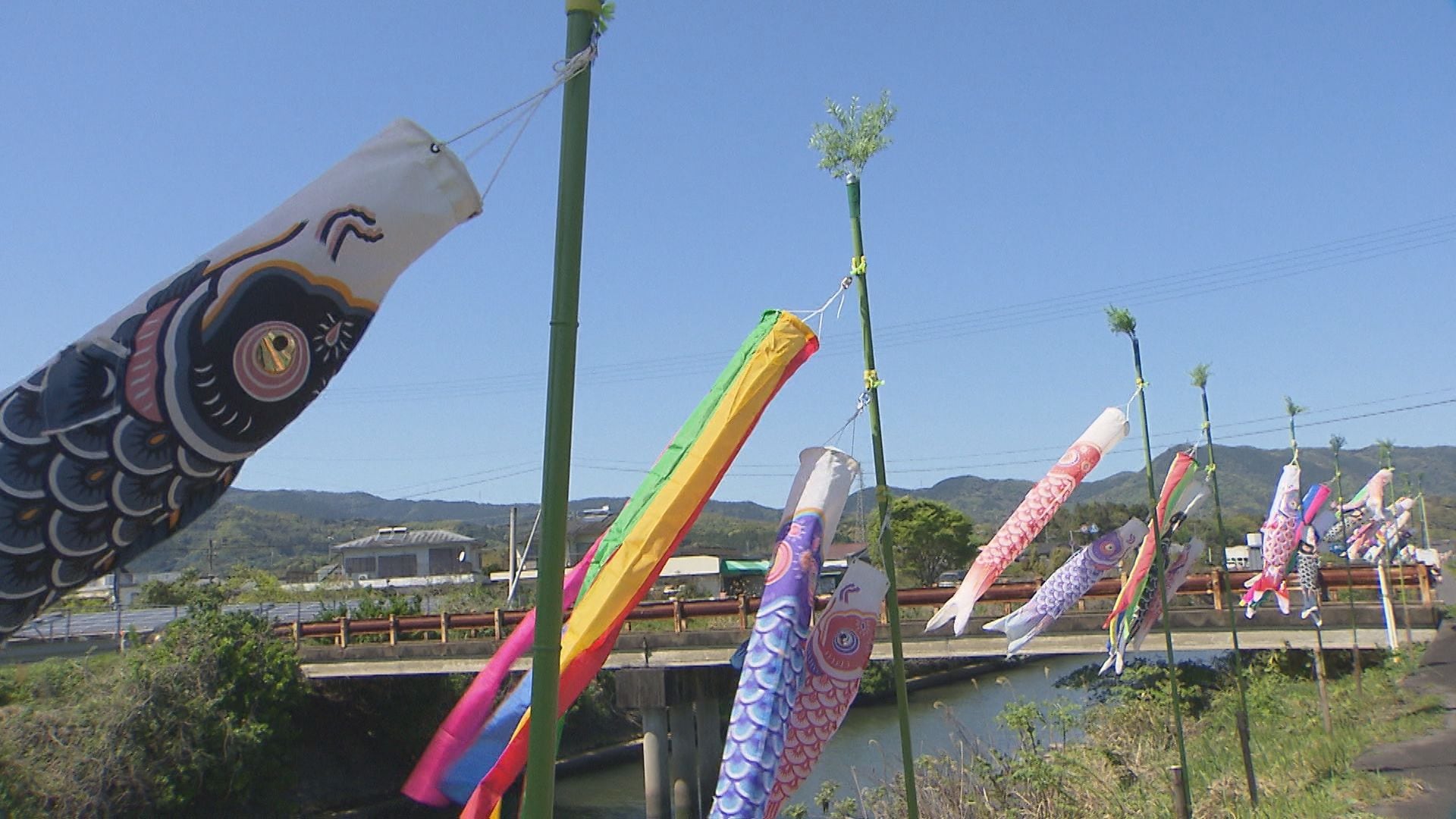 こいのぼり When in Okinawa, unforgettable experience at a lantern festival