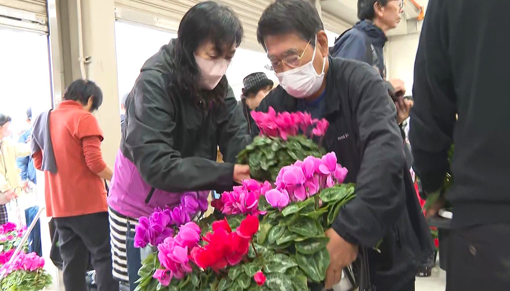 農業を学ぶ高校生が栽培したシクラメンなど17品目 即売会に長蛇の列