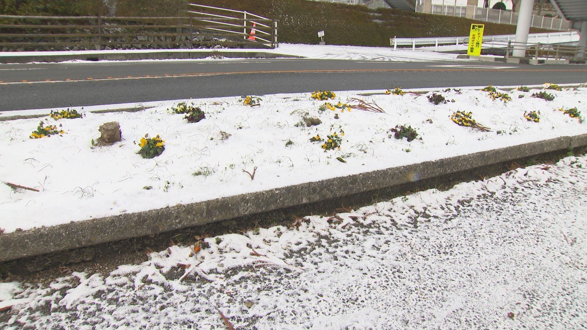 西予市宇和で15センチ、久万高原で1センチの積雪 高速道路では通行止め