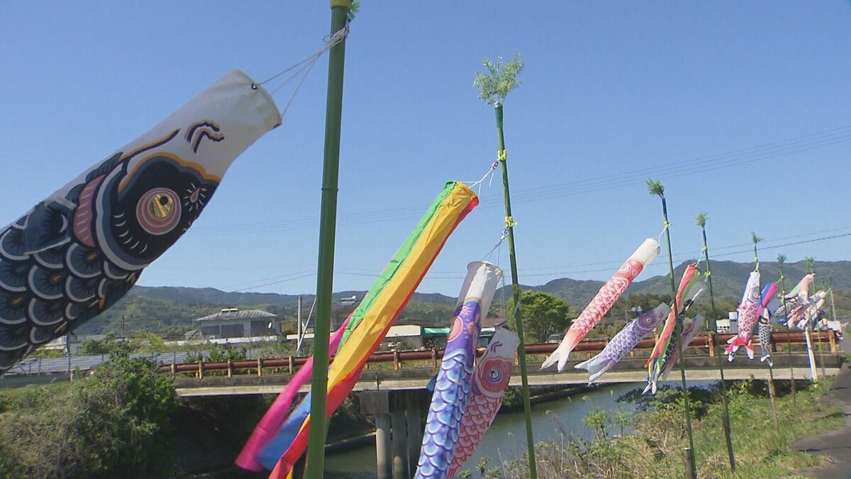 川沿いの空を泳ぐ555匹の「こいのぼり」お目見え　大分・臼杵市