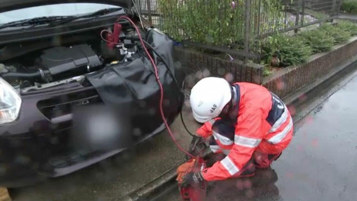 「虫が原因だと思うんですけど…」車のバッテリー上がりどう防ぐ？ 免許取得後わずか2週間でパンクも… JAFに密着