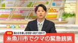 暴れて“箱わな”を壊しクマが住宅街に向かう恐れ『緊急銃猟』を実施　新潟県糸魚川市　|　新潟のニュース・天気｜BSN NEWS｜BSN新潟放送