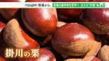 「文化を何とか残し、すばらしさを伝えるのが大事なストーリー」地元自慢の“掛川の栗”を世界へ!プロジェクト始まる【現場から、】|TBS NEWS DIG