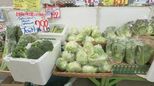 野菜が高い…対策は「もち&鮮度が良い 大きいもの」を購入 狙い目は“牛肉・鶏肉” 物価高騰で外食需要が減少【チャント!解説】 | 名古屋・愛知・岐阜・三重のニュース【CBC news】 | CBC web