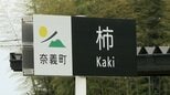 地名の謎を調査してみたら驚きの事実が...1600万年の歴史が秘められた地域の名は「柿」 果物とは全く関係なかった【岡山】|TBS NEWS DIG