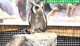 全国から訪れる人気のテーマパーク「掛川花鳥園」が開園20周年　最大の危機を救ったのは「動かない鳥」=静岡|TBS NEWS DIG