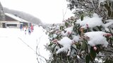 山間部は銀世界 子どもたちは雪遊び 大雪のおそれなくなる 大分 | 大分のニュース|OBS NEWS|大分放送