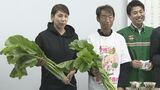 おにぎり・おひたし・パスタ　甲府市の伝統野菜“長禅寺菜”とコラボ商品　セブンイレブンで販売　山梨|TBS NEWS DIG