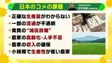 課題多すぎ日本のコメ問題 「生産量が不明」「流通が不透明」専門家が指摘する日本の米政策 参議院選挙で各党の主張を比較|TBS NEWS DIG