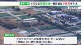 新野球場計画の調査費3,000万円　静岡県議会の委員会で可決　基本計画公表は予定より1年遅れに|TBS NEWS DIG