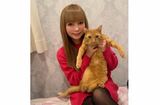 中川翔子さん 命日に愛猫「メポ」を悼む 「本当にわたしのいのちをあげたかった」|TBS NEWS DIG