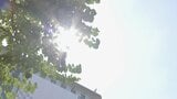 熱中症警戒アラート 今年の発表数は過去最多の1749回|TBS NEWS DIG