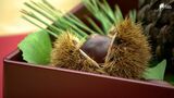 茶事で「和栗」の魅力を再認識 遠州・和栗プロジェクト 後継者不足などで生産量が激減も魅力PRを進める=静岡 | 静岡のニュース | SBSNEWS | 静岡放送