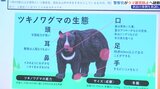 警察官の被害を防ぐために 岩手県警がツキノワグマ被害防止研修会 岩手・滝沢市|TBS NEWS DIG
