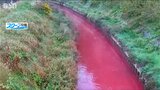 川が真っ赤になった原因は いまだ謎…　|　新潟のニュース・天気｜BSN NEWS｜BSN新潟放送