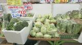 野菜が高い…対策は「もち&鮮度が良い 大きいもの」を購入 狙い目は“牛肉・鶏肉” 物価高騰で外食需要が減少【チャント!解説】 | 名古屋・愛知・岐阜・三重のニュース【CBC news】 | CBC web