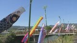 川沿いの空を泳ぐ555匹の「こいのぼり」お目見え　大分・臼杵市|TBS NEWS DIG