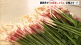 「みそや天ぷらでもおいしい」食卓に春を呼ぶ「久能葉しょうが」の収穫スタート＝静岡・静岡市|TBS NEWS DIG