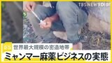「薬なしでは生きられない」ミャンマー麻薬ビジネスの実態　周辺国に密輸増加･･･日本は“魅力的な市場”【news23】|TBS NEWS DIG