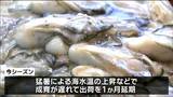 「サイズはめんこいけどぺろぺろ食べられそう」生食用のカキ“解禁日から1か月遅れ”で出荷 猛暑で成育に遅れ 宮城|TBS NEWS DIG