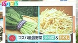 “もやし”は野菜室に入れない！？コスパ最強！小松菜＆もやし活用術【ひるおび】|TBS NEWS DIG
