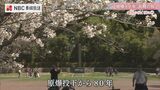 桜の咲く頃に「被爆80年の桜」 | 長崎のニュース | 天気 | NBC長崎放送