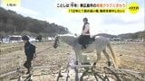 「馬と仲良くなれるように乗っていきたい」　午年 東広島の乗馬クラブから　|TBS NEWS DIG