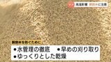 穂が出てからも高温傾向 県が胴割米に注意呼びかけ コシヒカリと富富富の生育は平年並み 富山 | 富山のニュース|天気・防災|チューリップテレビ