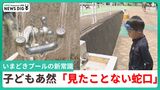 「こんな蛇口見たことない」子どもは「??」保護者は“驚き” 今どきのプール作法「目を洗わない」を探る|TBS NEWS DIG