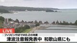 【速報】和歌山・串本町袋港で津波第１波「0.1m」観測　那智勝浦町浦神でも　津波の観測情報  13:50時点|TBS NEWS DIG