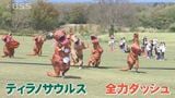 元気といえばティラノサウルス? 鳥取県の大山でティラノサウルスが大集合そして爆走 BSS小林キャスターも参戦 果たして結果は?|TBS NEWS DIG
